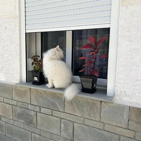 Canyon's House شقة